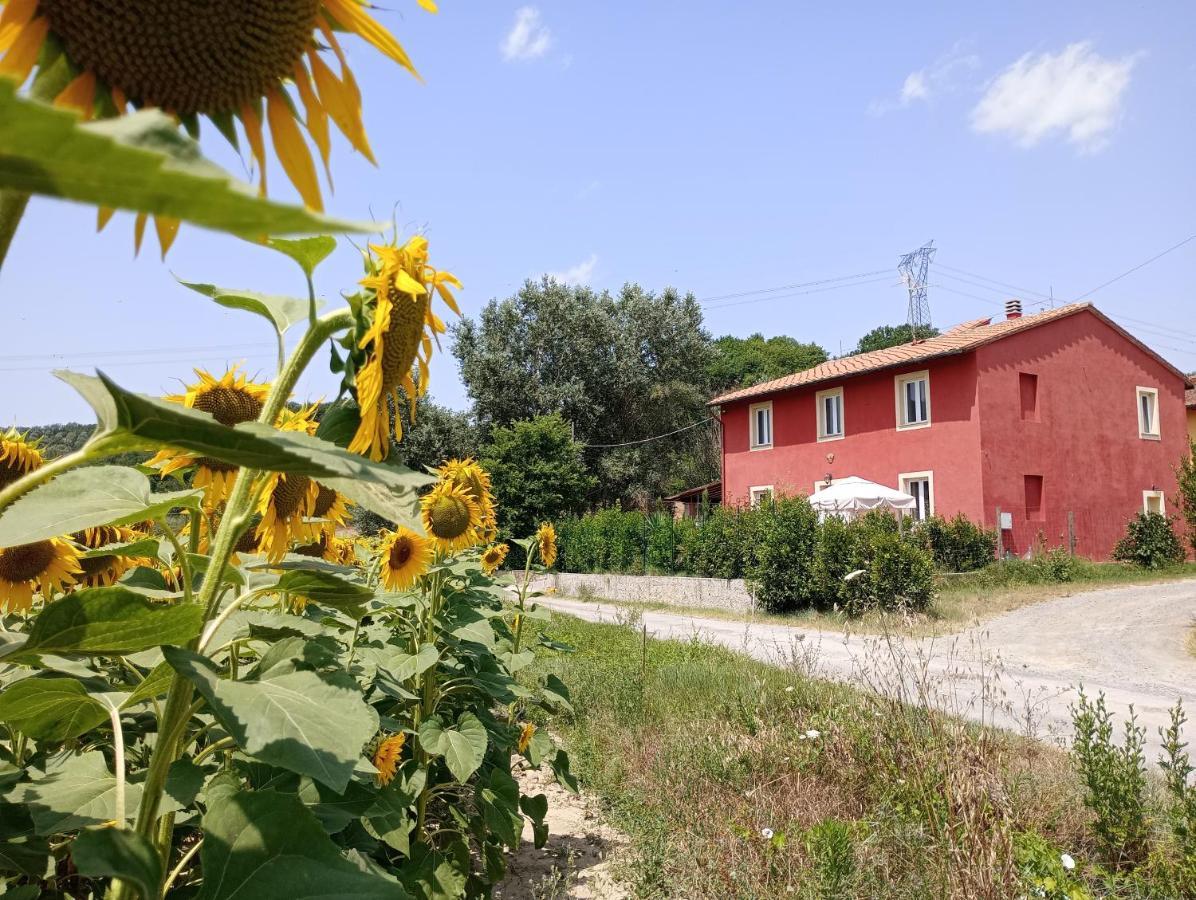 La Casa Rossa Bed & Breakfast Coiano Екстериор снимка